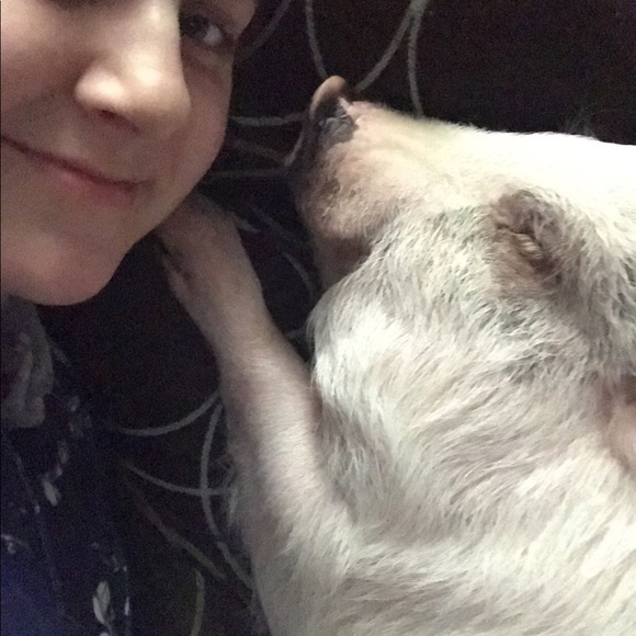 Help me raise money for expenses 4 this little guy - Picture 5 of 8